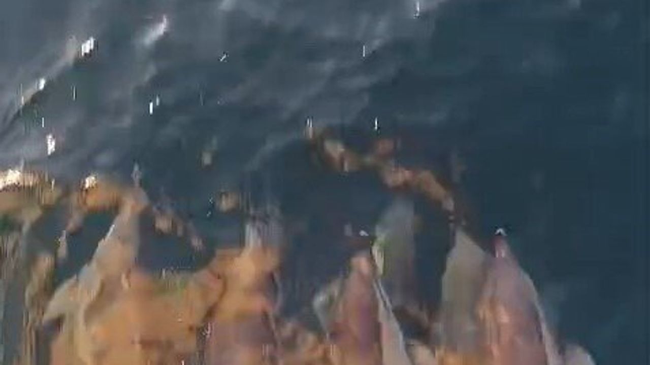 Kıyıköy'de Yunuslar Tekneyle Yarıştı