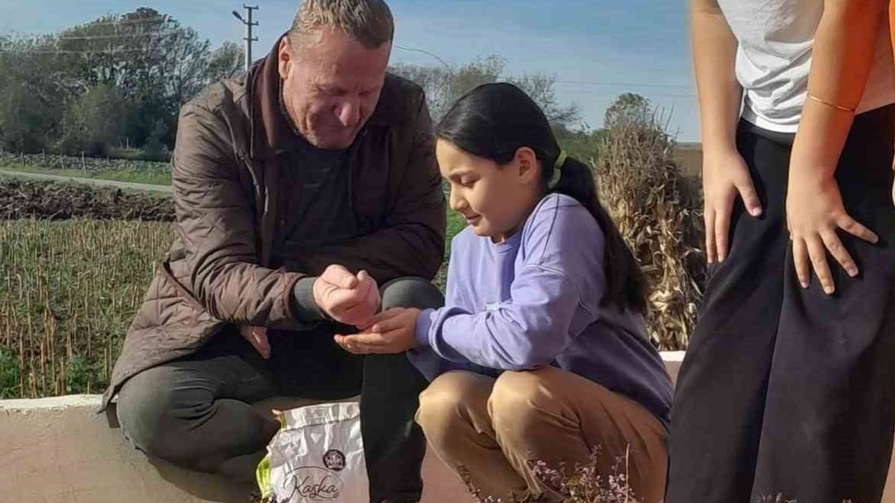 Kızılırmak Deltası'nda Çocuk Çiftçilerin Yetişmesi İçin Eğitim Projesi