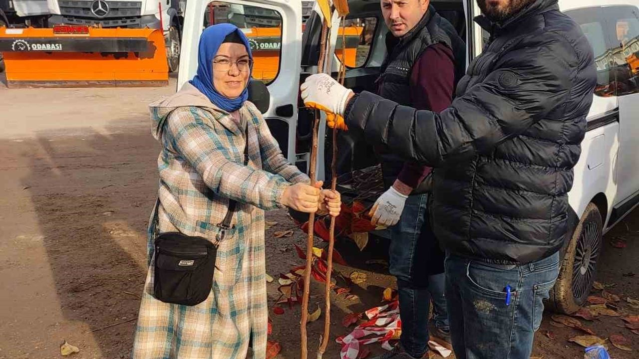 Kocaeli'de 3 Bin 600 Trabzon Hurması Fidanı Dağıtımı