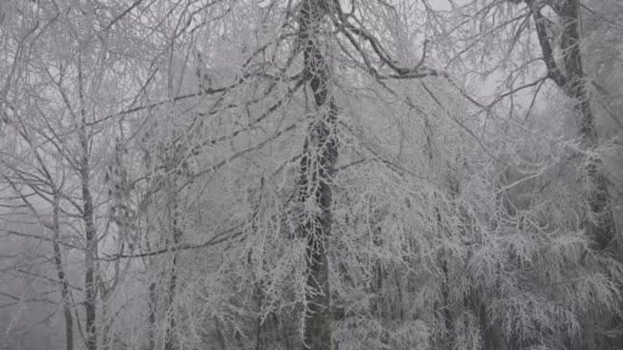 Kocaeli’de Kar Yağışı Etkisini Sürdürüyor