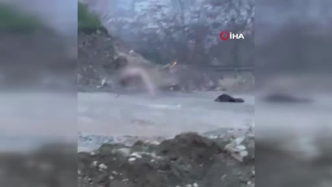 Kocaeli'de Köprü Altında Şaşırtan Olay