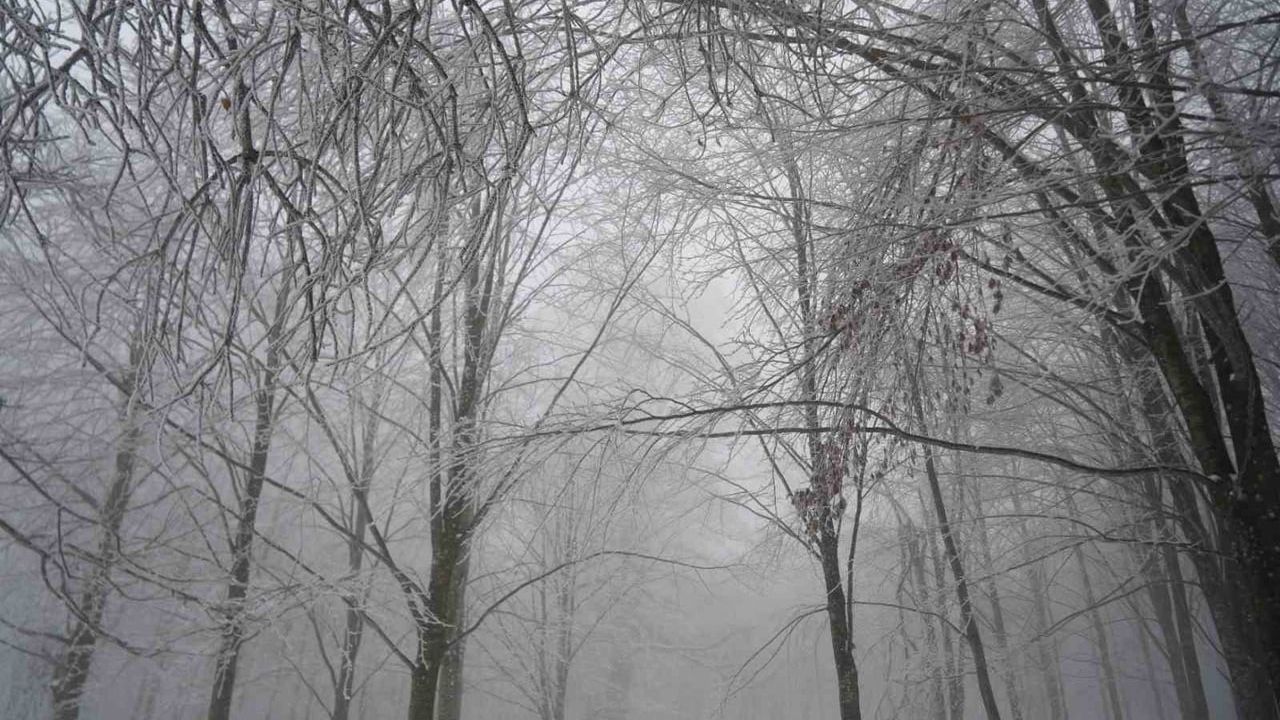 Kocaeli'de Lapa Lapa Kar Yağışı Etkisini Sürdürüyor