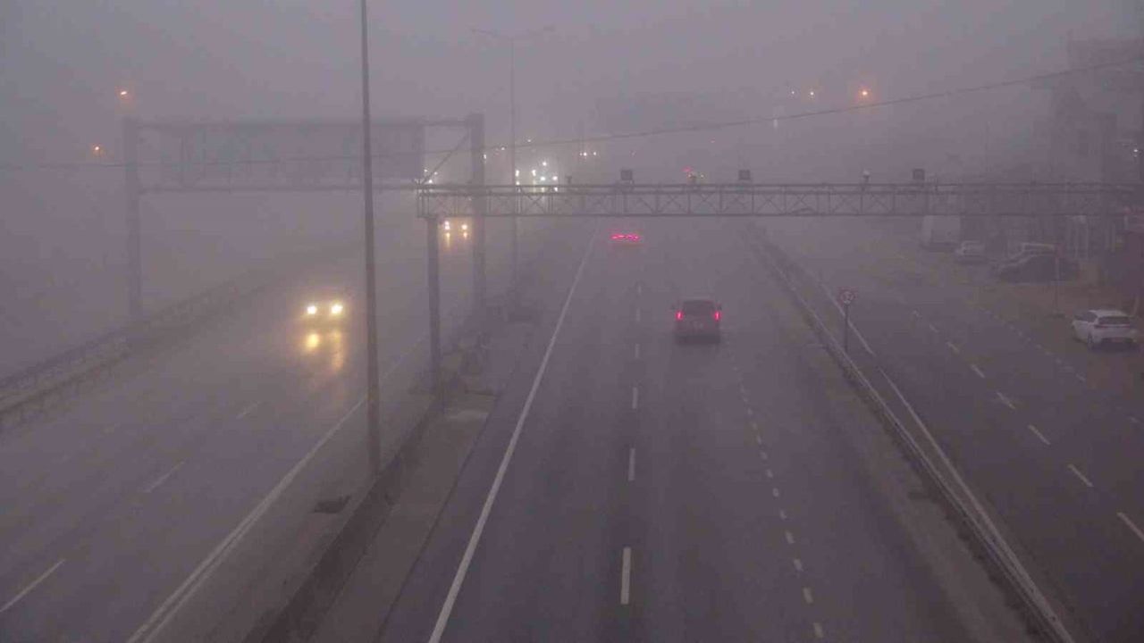 Kocaeli'de Yoğun Sis Trafiği Olumsuz Etkiliyor