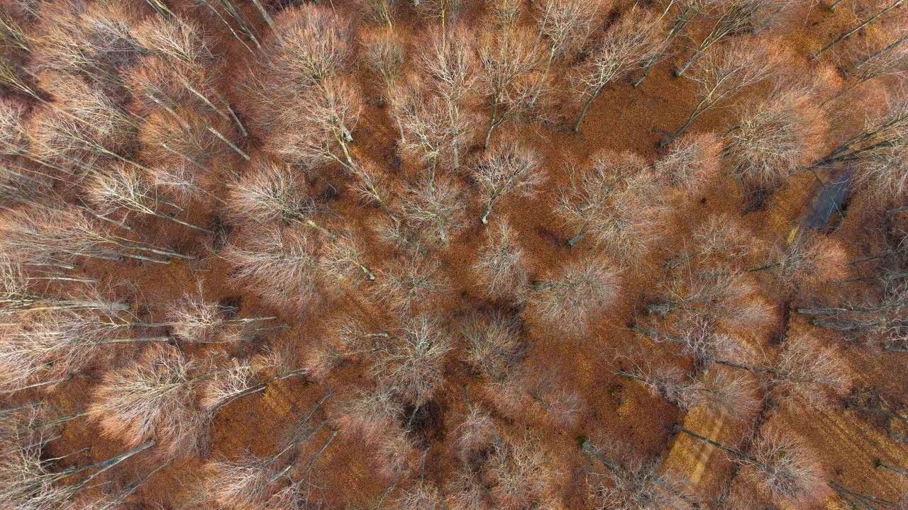 Kocaeli'nin Doğa ile Dolu Güzellikleri