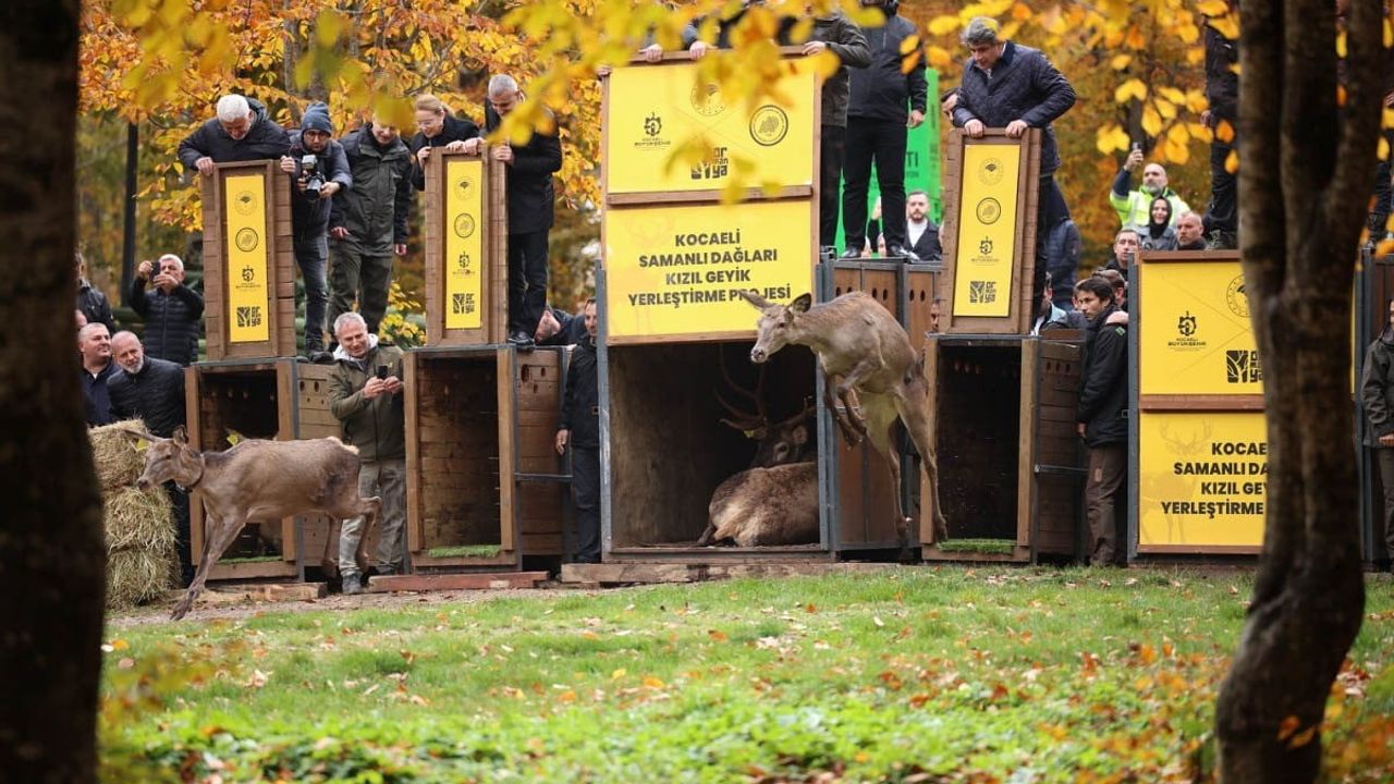 Kocaeli'nin Doğa Turizmi Merkezleri 5 Milyon Ziyaretçi Ağırladı