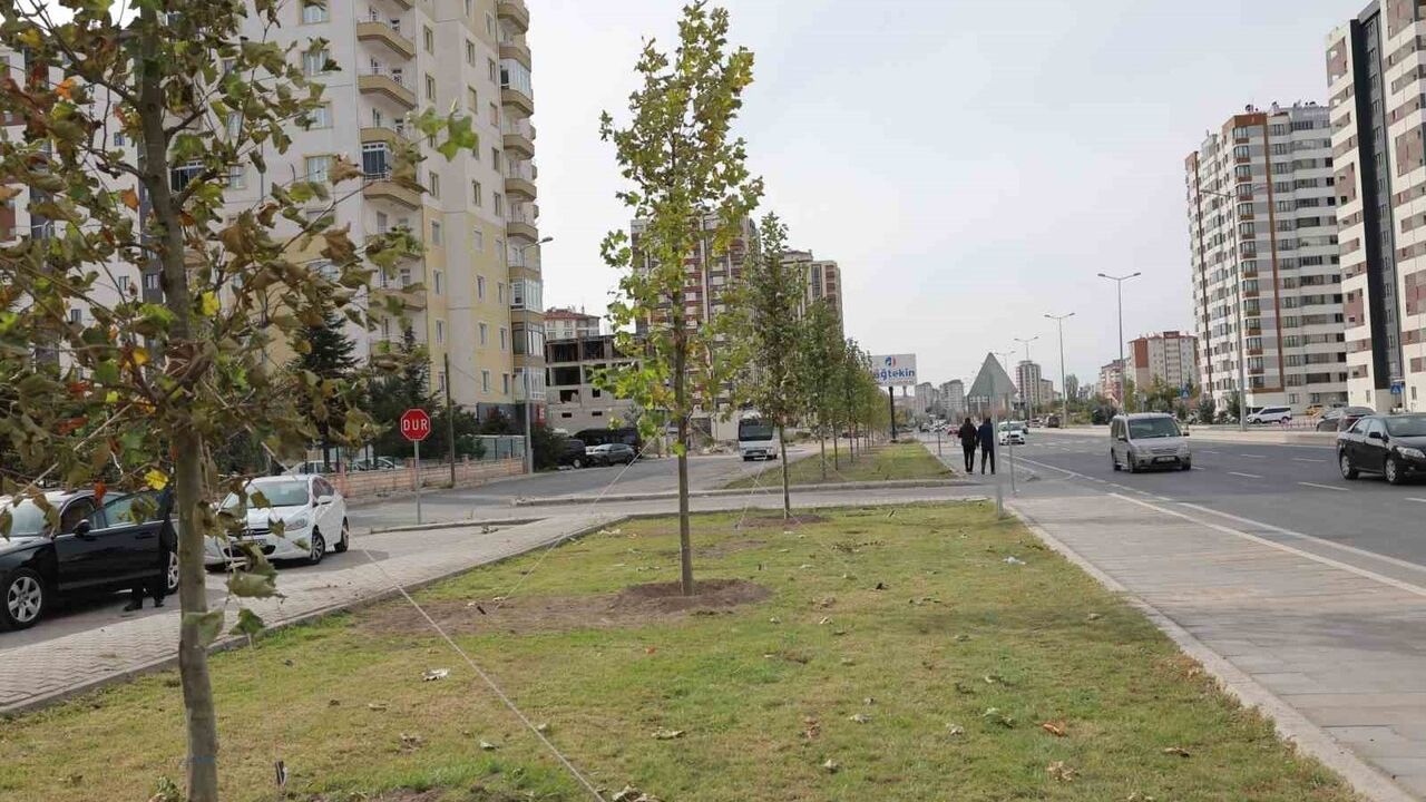 Kocasinan'da Yeşil Alan Artışı Üç Katına Çıkıyor