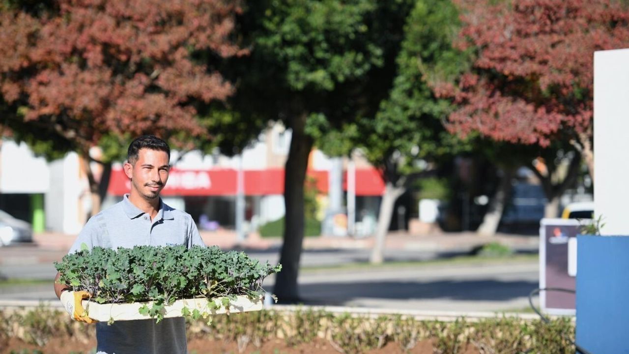 Konyaaltı'nda Mevsimlik Çiçekler Yeşeriyor
