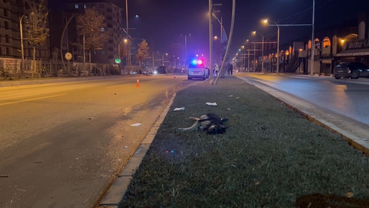 Köpeğe Çarpmamak İçin Refüje Çıkan Sürücü Yaralandı