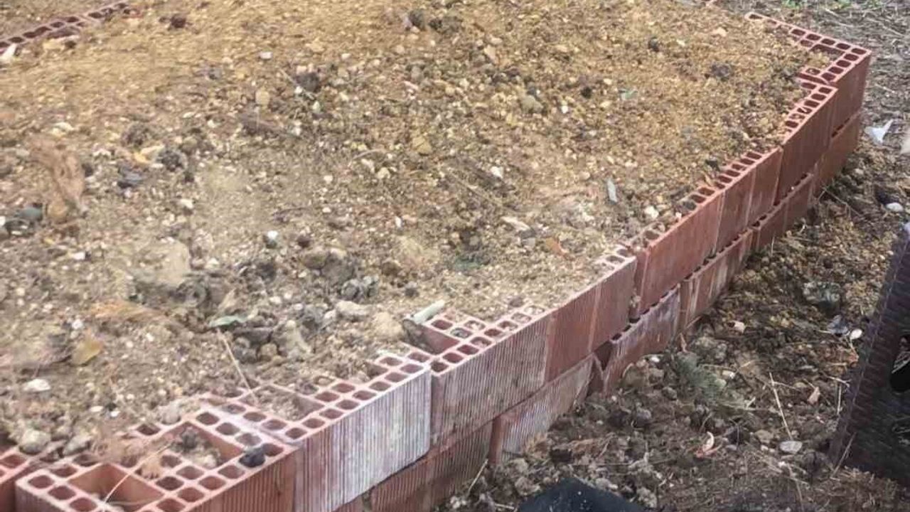 Köpeğin Sadakati: Sahiplerinin Mezarı Başında Bekleyen Vefalı Dost