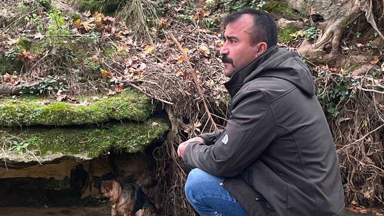 Köpek Kurtarıldı: Duyarlı Vatandaşın Yardımıyla