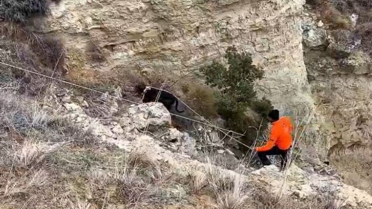 Köpeklerini Uçurumdan Kurtaran Avcılar