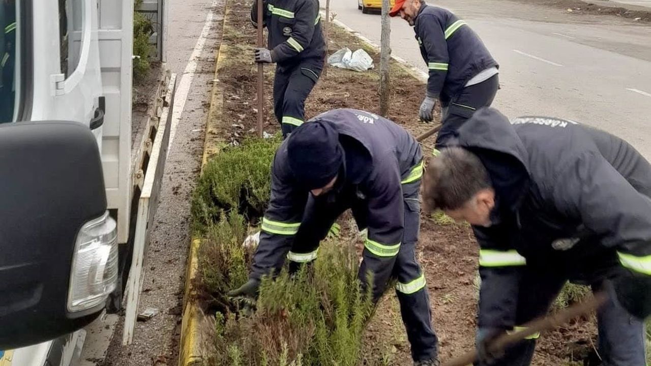 Körfez'de Yeşil Alanlar Çiçeklerle Canlanıyor