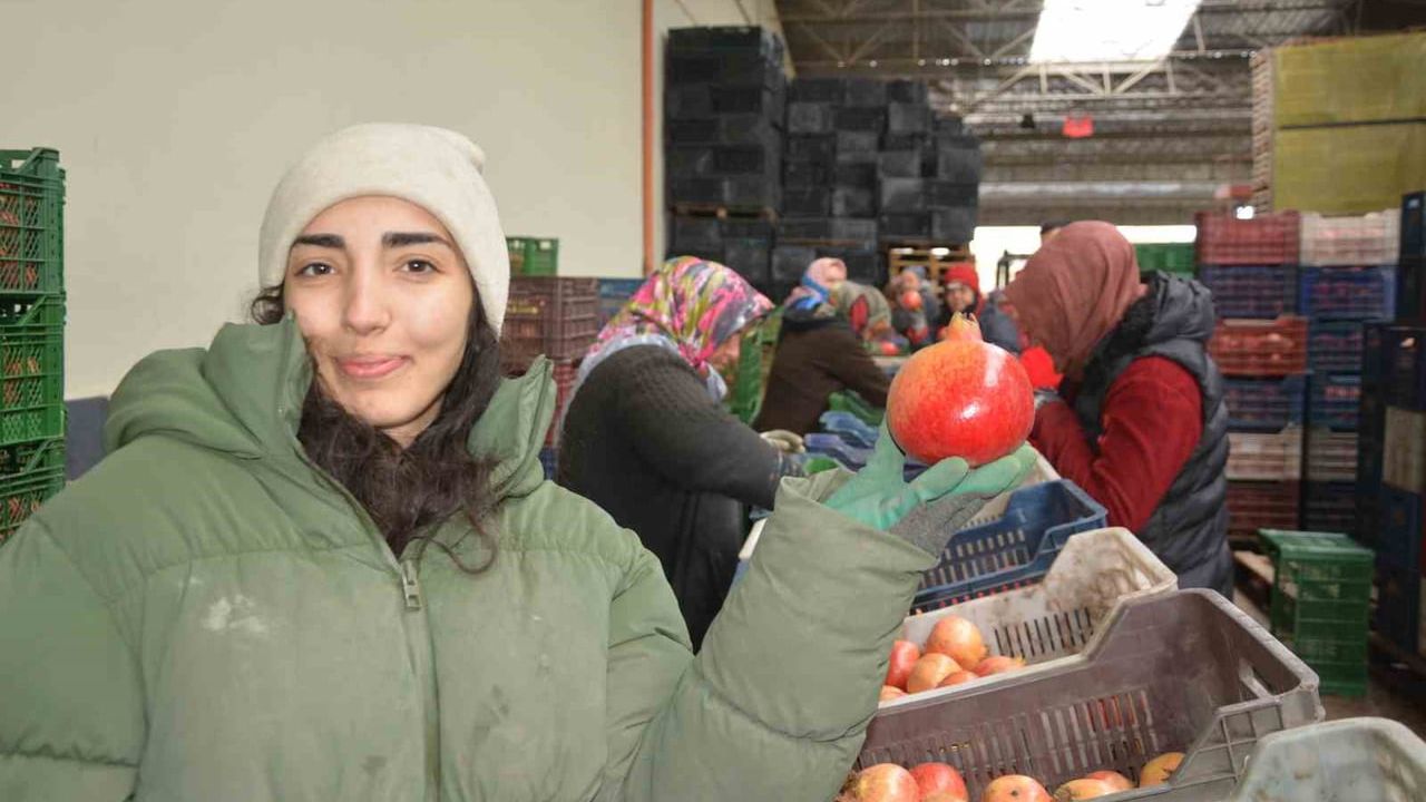 Korkuteli'nden Nar İhracatı Başladı