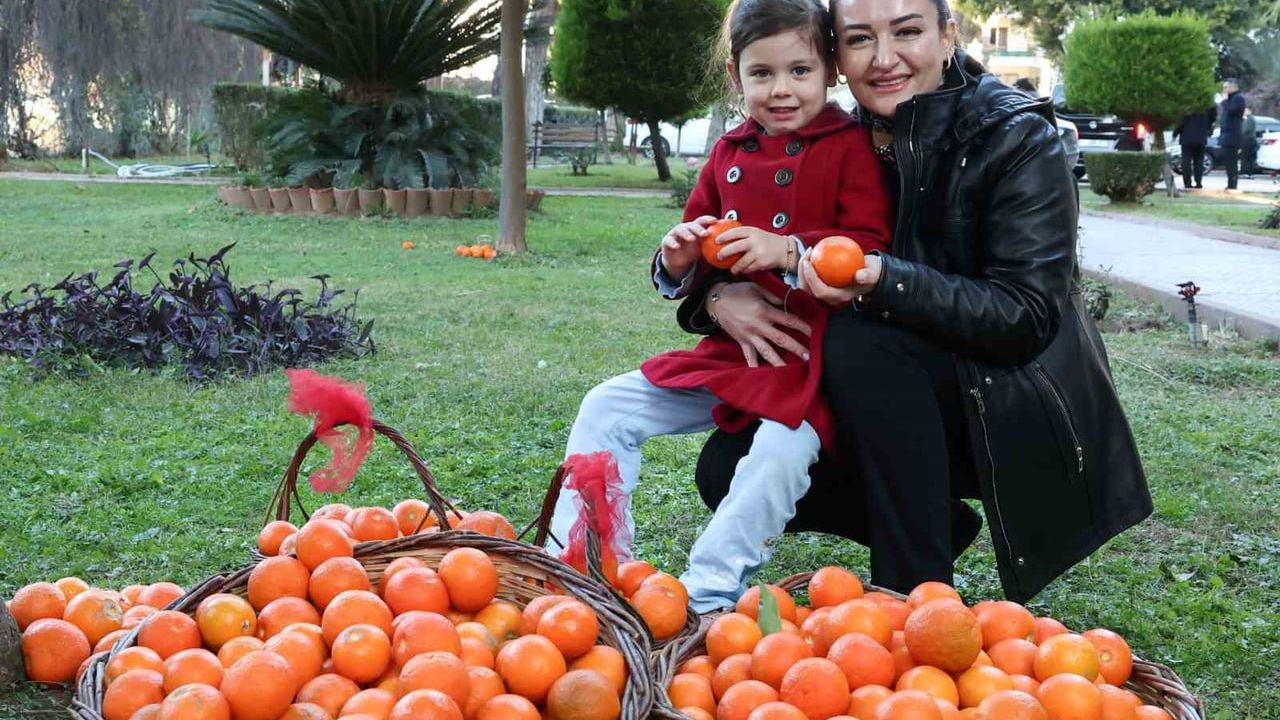 Korkuteli’nin Turunçları Kadınların Emeğiyle Sofralara Geliyor