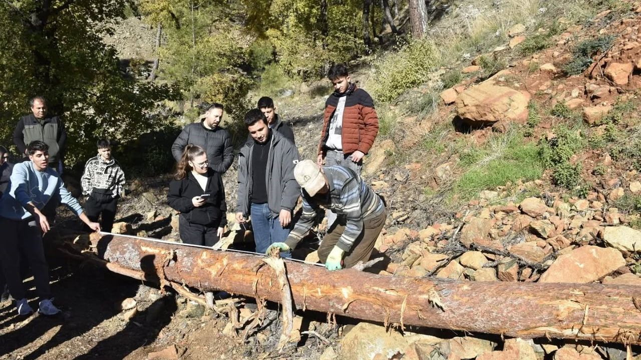 Köyceğiz Ormancılık Yüksekokulu Öğrencileri Arazi Uygulamalarında