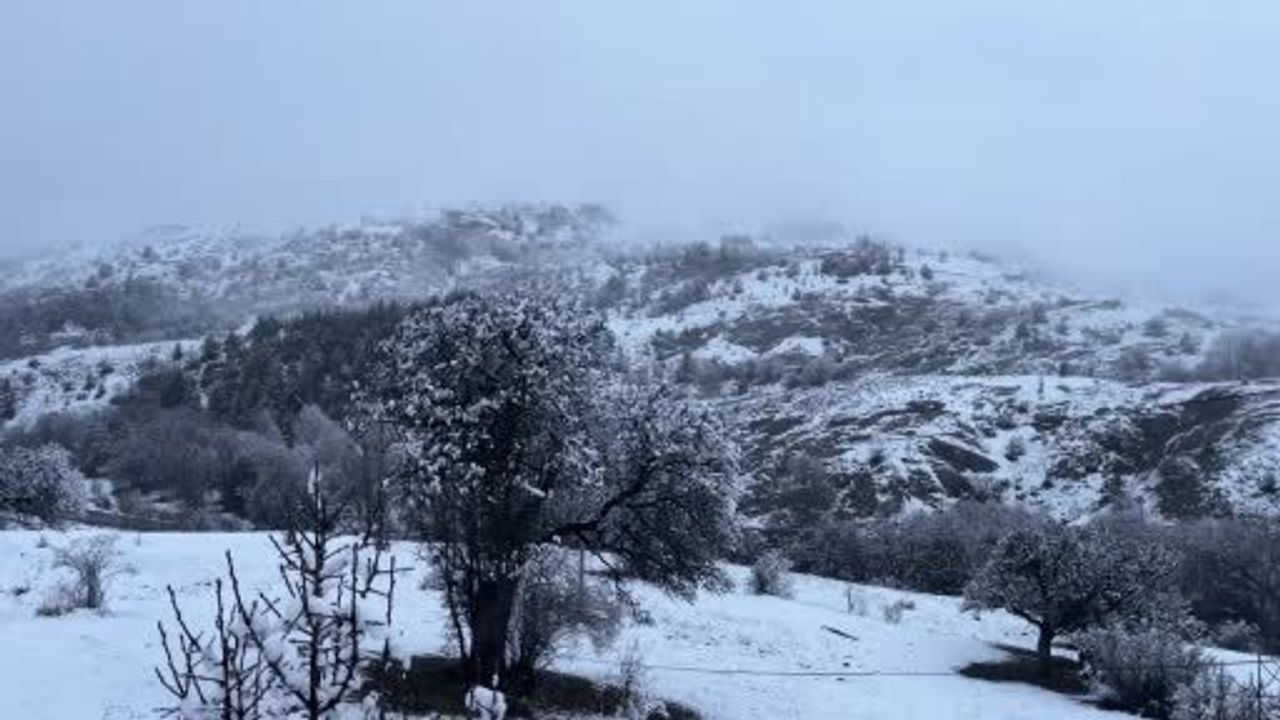 Koyulhisar’da Kartpostallık Kar Manzaraları