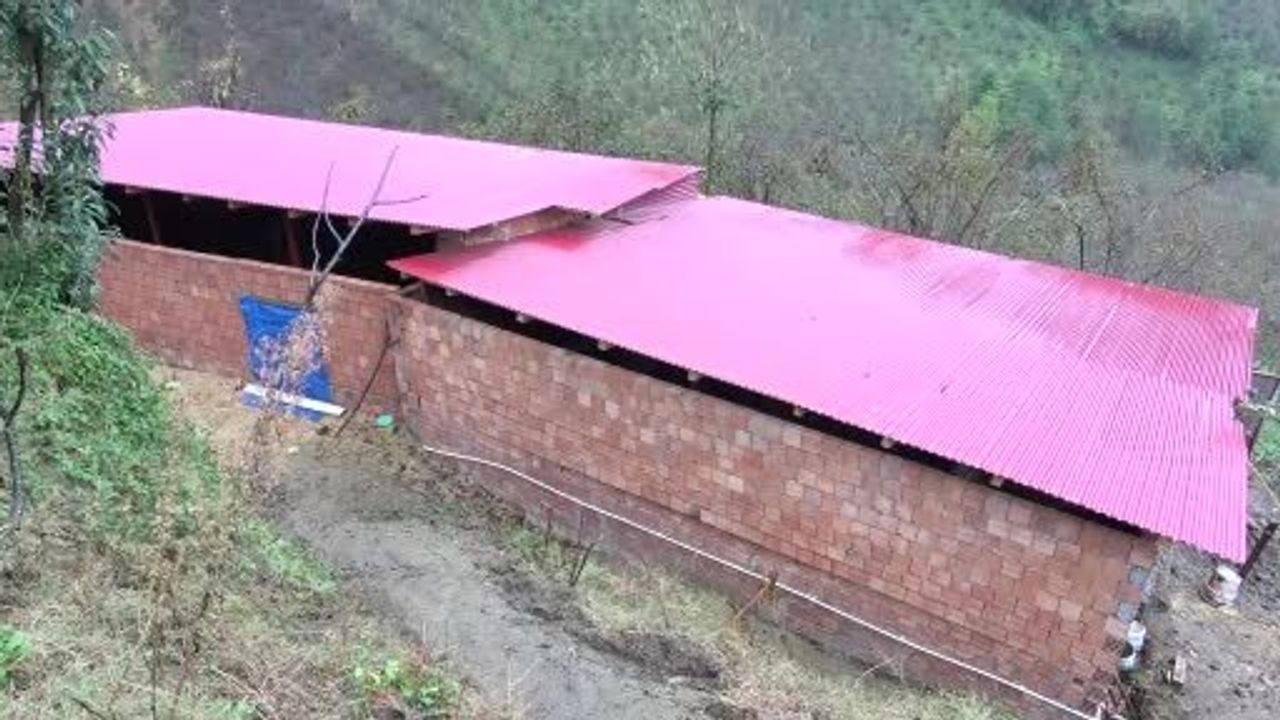 Köyüne Dönerek Hayvancılığa Başlayan Uğur Gedik'in Hikayesi