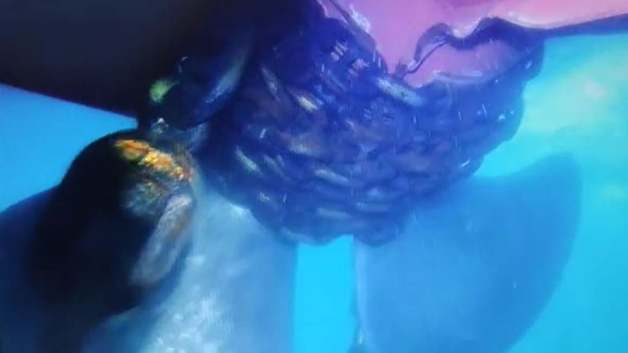 Küçükçekmece'de Alatepe Tankerinde Kurtarma Çalışmaları