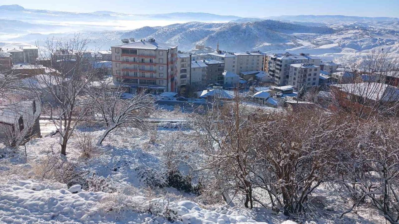 Kulp'ta Dondurucu Soğuklar Hayatı Durdurdu