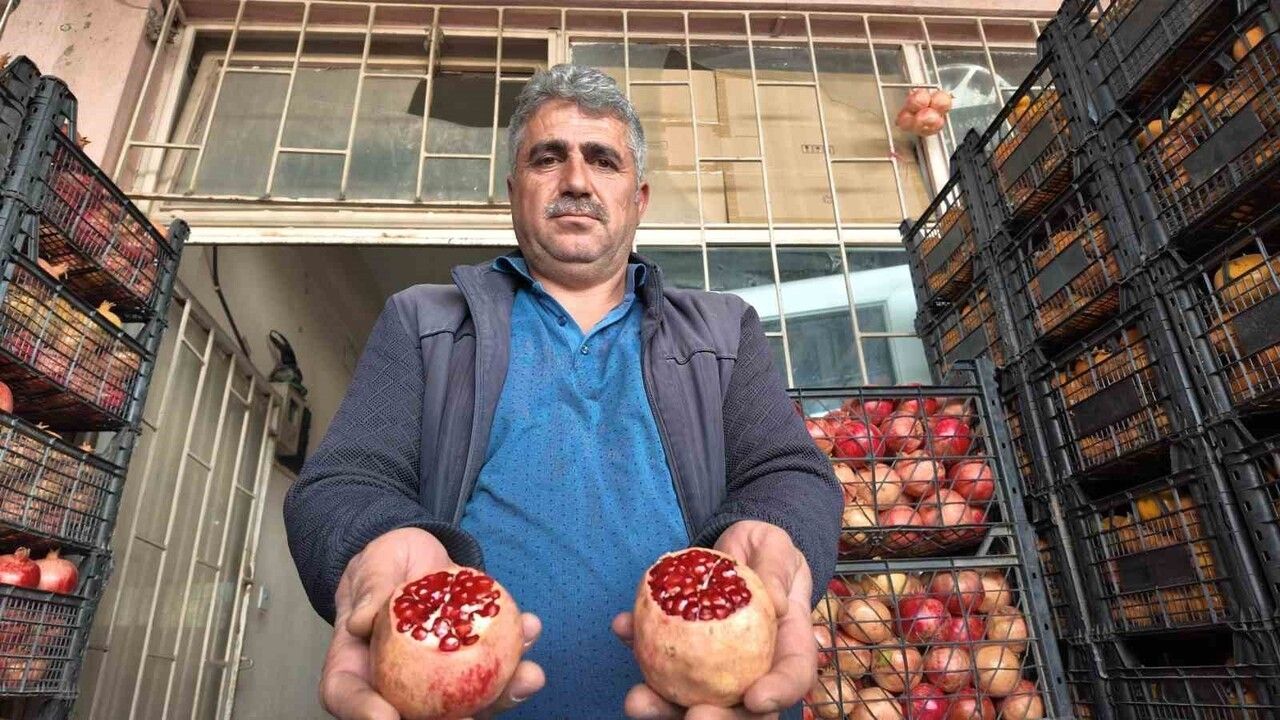 Kuraklık Siirt'in Zivzik Narında Verim Azalmasına Sebep Oldu