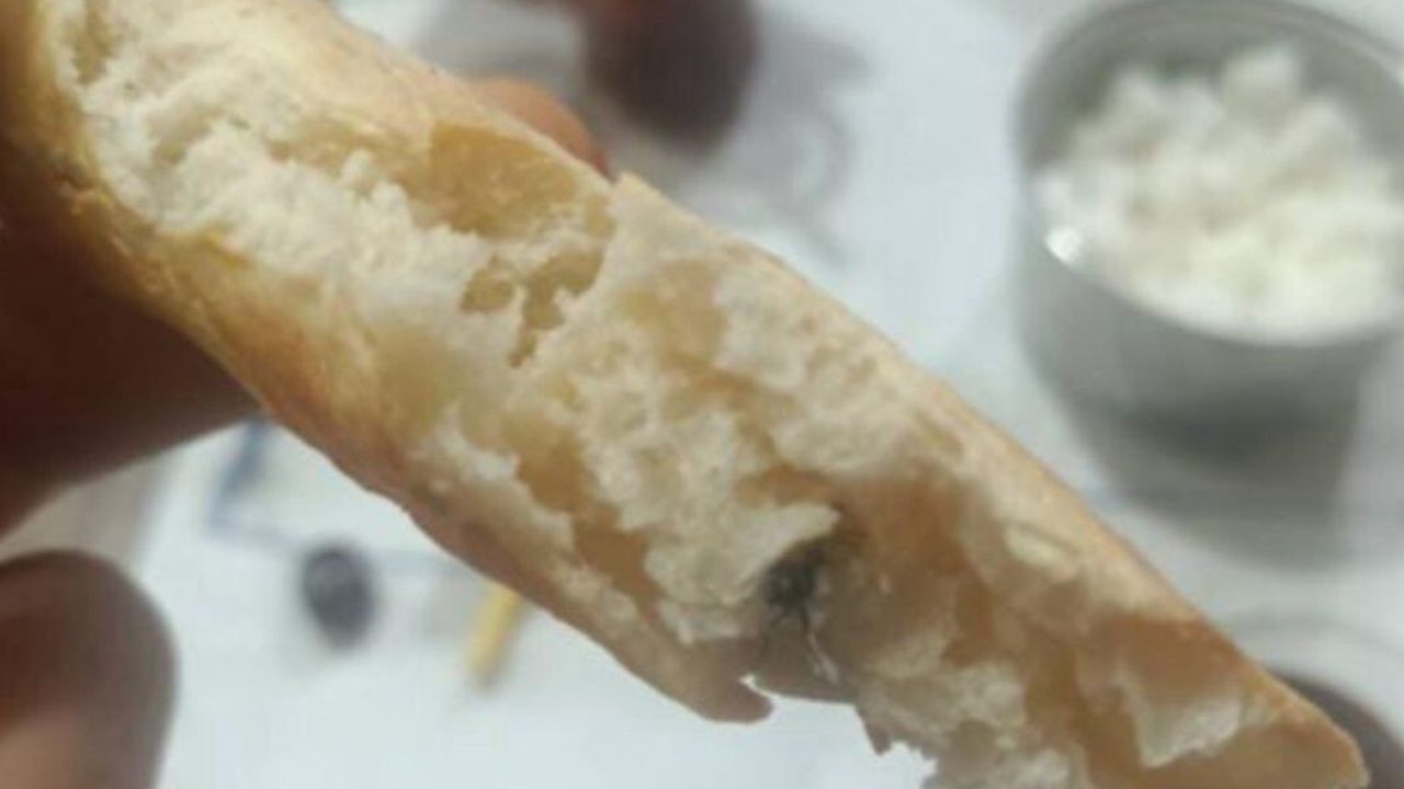 Kurtalan'da Ekmeğin İçinde Sinek Şoku