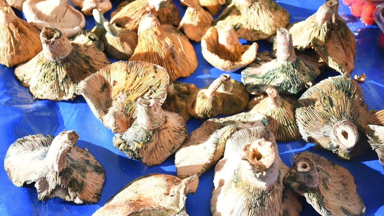 Kuşadası'nda Yerel Üretici Sergisi Kış Ürünleri ile Zenginleşti