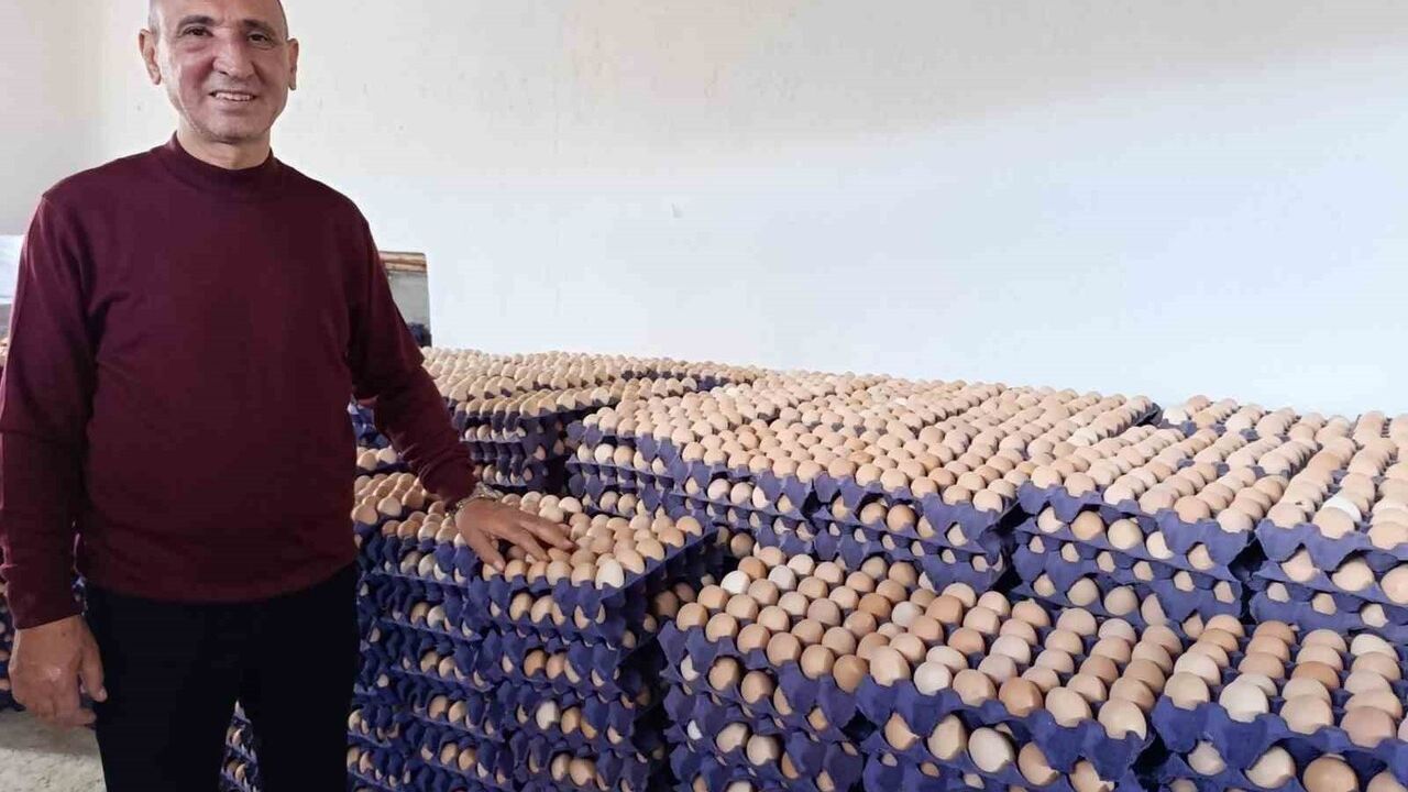 Kuşu Beldesi'nde Gelişen Yumurtacılık Sektörü