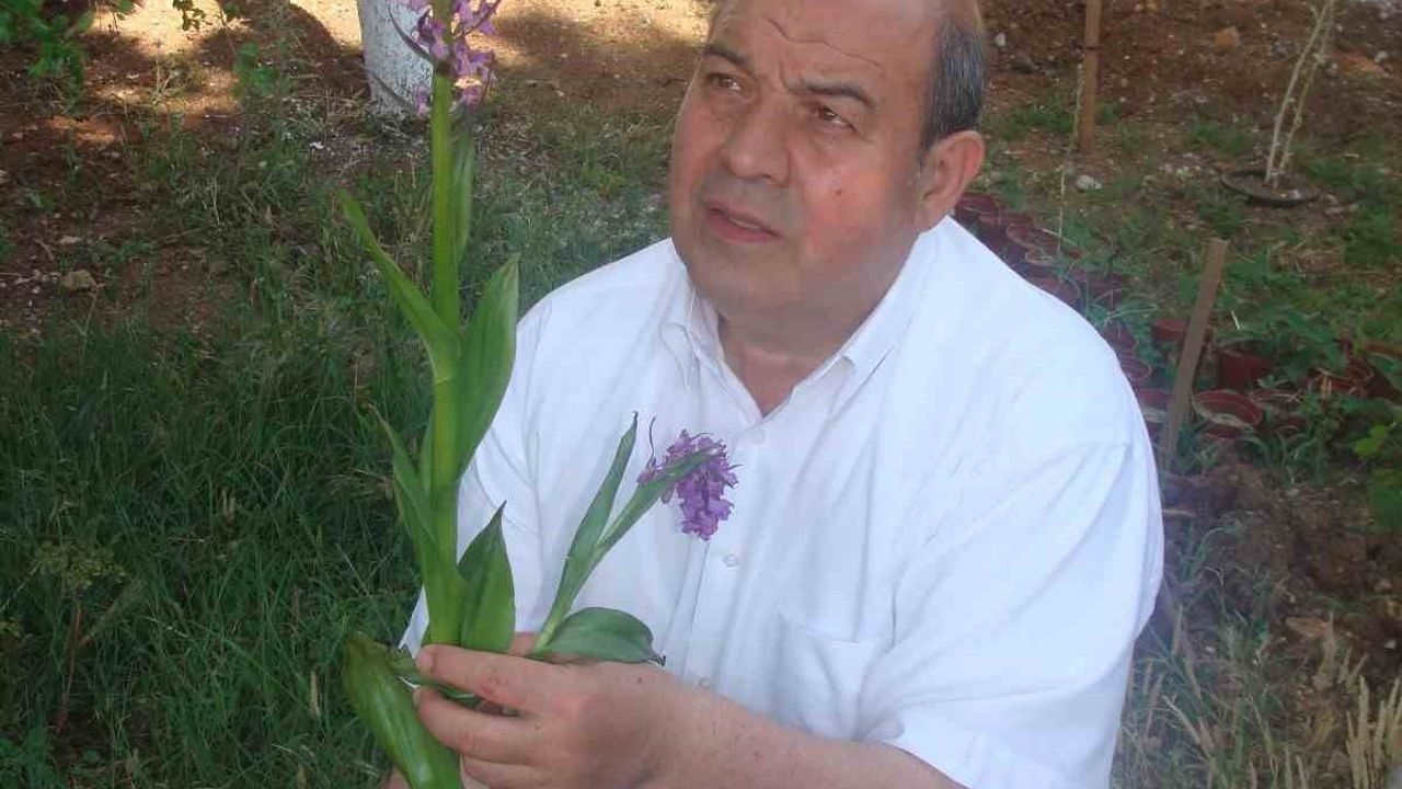 MADO'nun Salep Manifestosu: Anadolu'nun Lezzetleri ve Sürdürülebilirlik