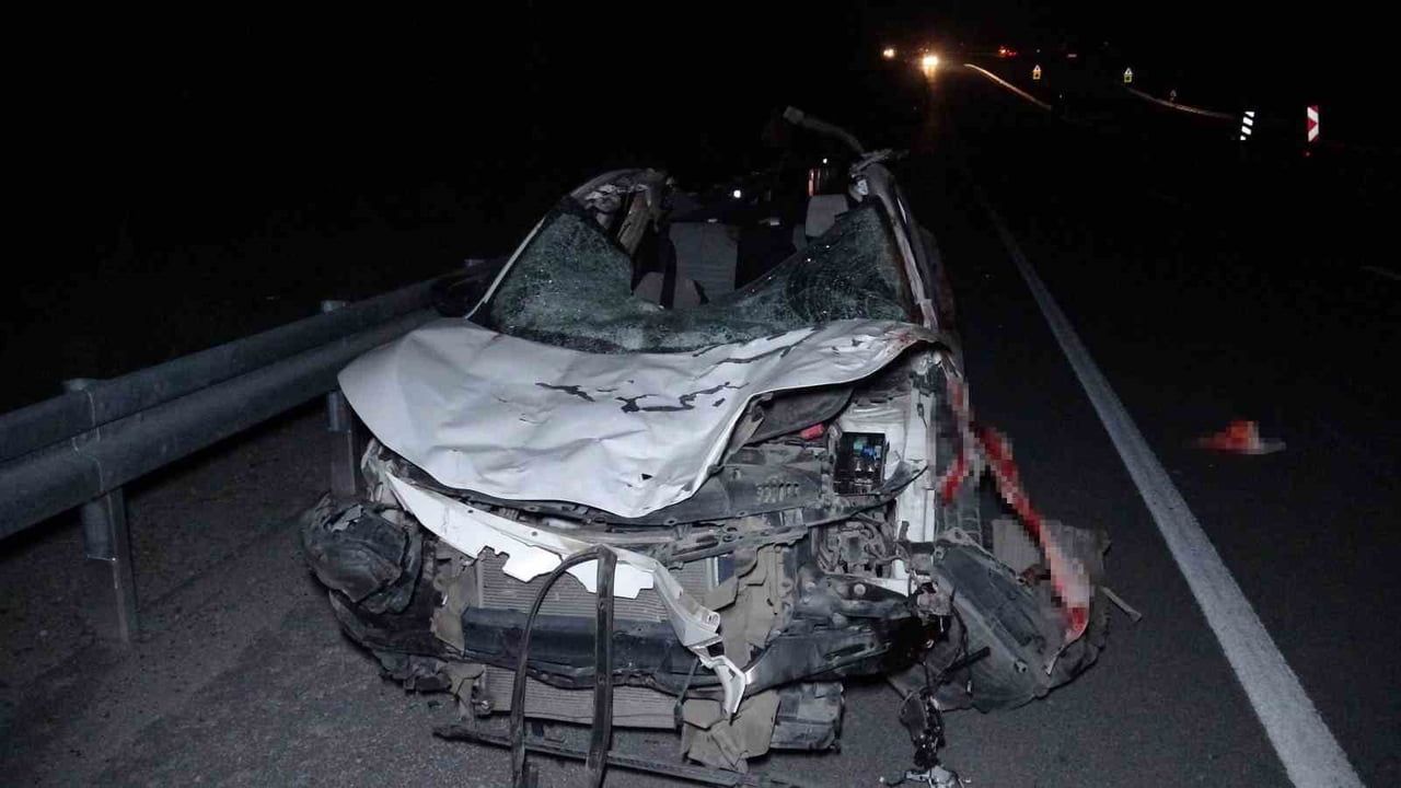 Malatya'da Kaçan Yarış Atları Trafiği Felç Etti