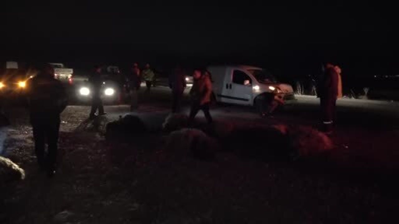 Malatya'da Koyun Sürüsüne Çarpan Ticari Araçta Yaralı Var