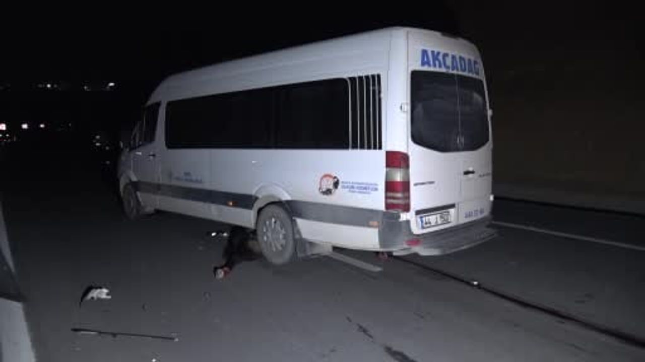 Malatya'da Yarış Atları Feci Şekilde Telef Oldu