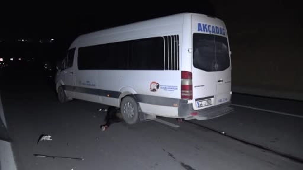 Malatya'daki Milyonluk Taylar Karayolunda Telef Oldu