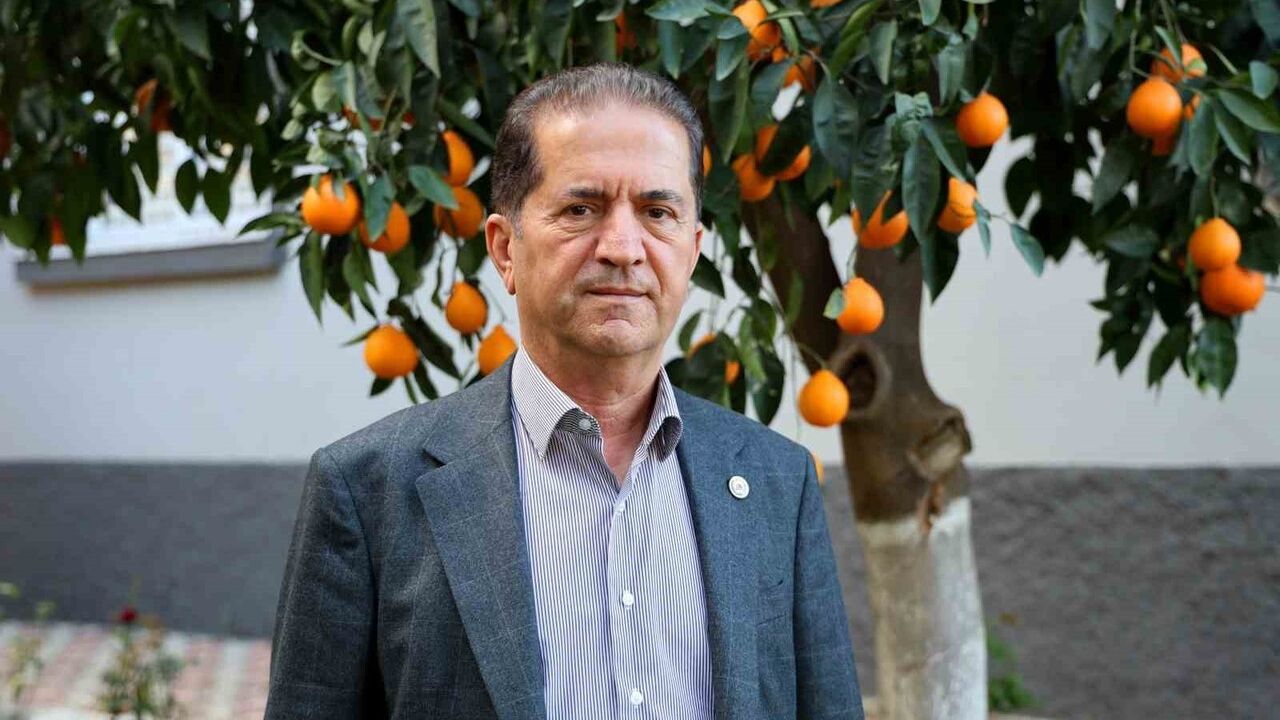 Mandalina Fiyatları Düşüşte: Dalında 3 TL, Pazarda 5 TL