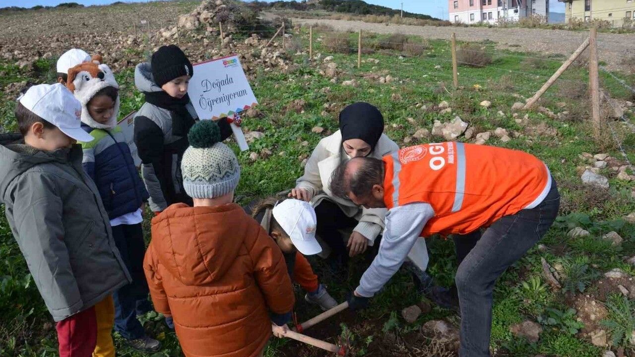 Manisa'da 100 Bininci Fidan Heyecanı