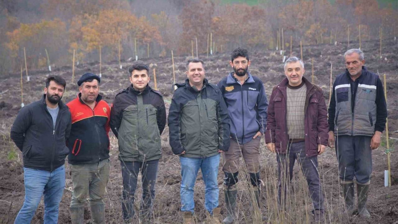 Manyas'ta Orman Köylüsüne Gelir Getirici Ağaçlandırma Projesi