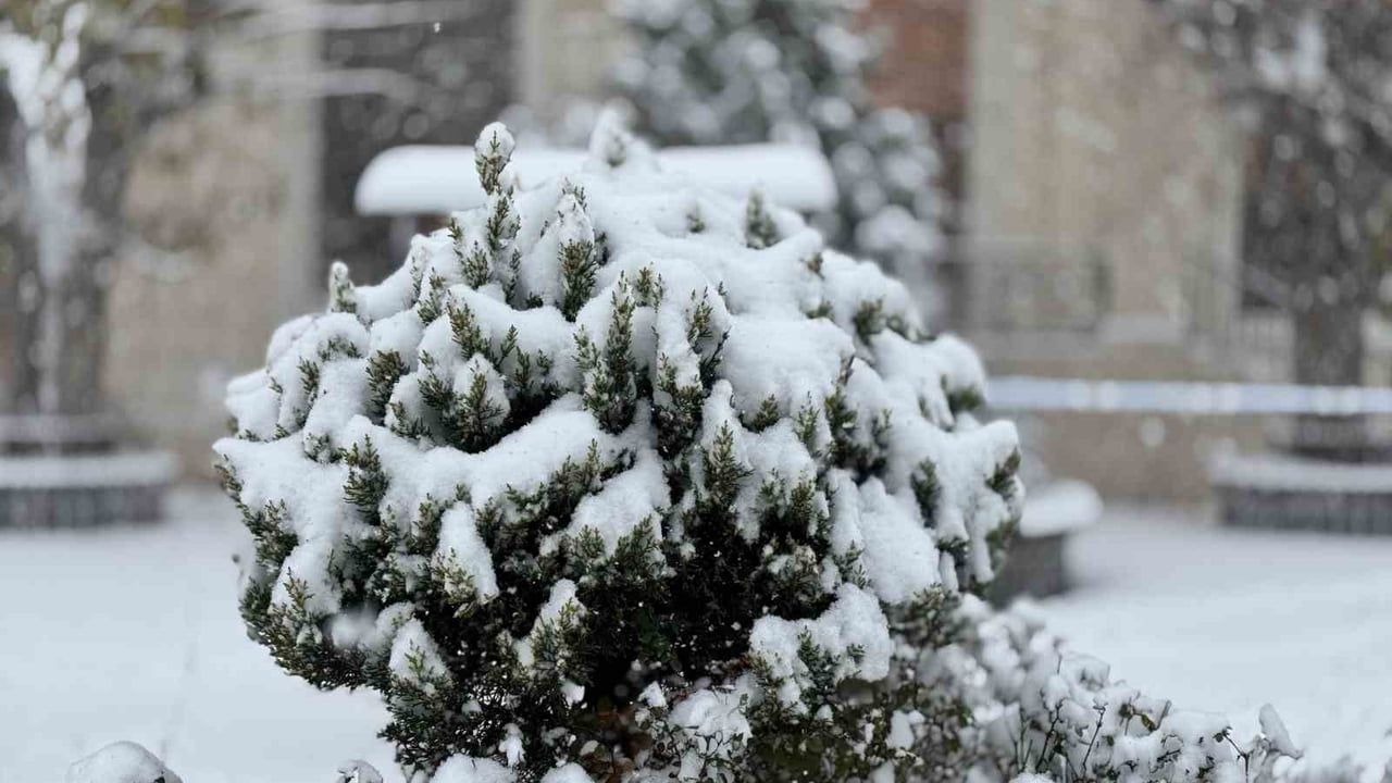 Mazıdağı'nda Kar Yağışı Hayatı Olumsuz Etkiliyor