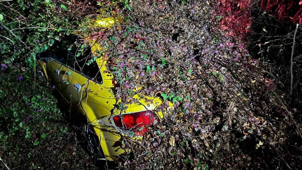 Mersin'de Ağaç Devrildi, Sürücü Yaşamını Korudu