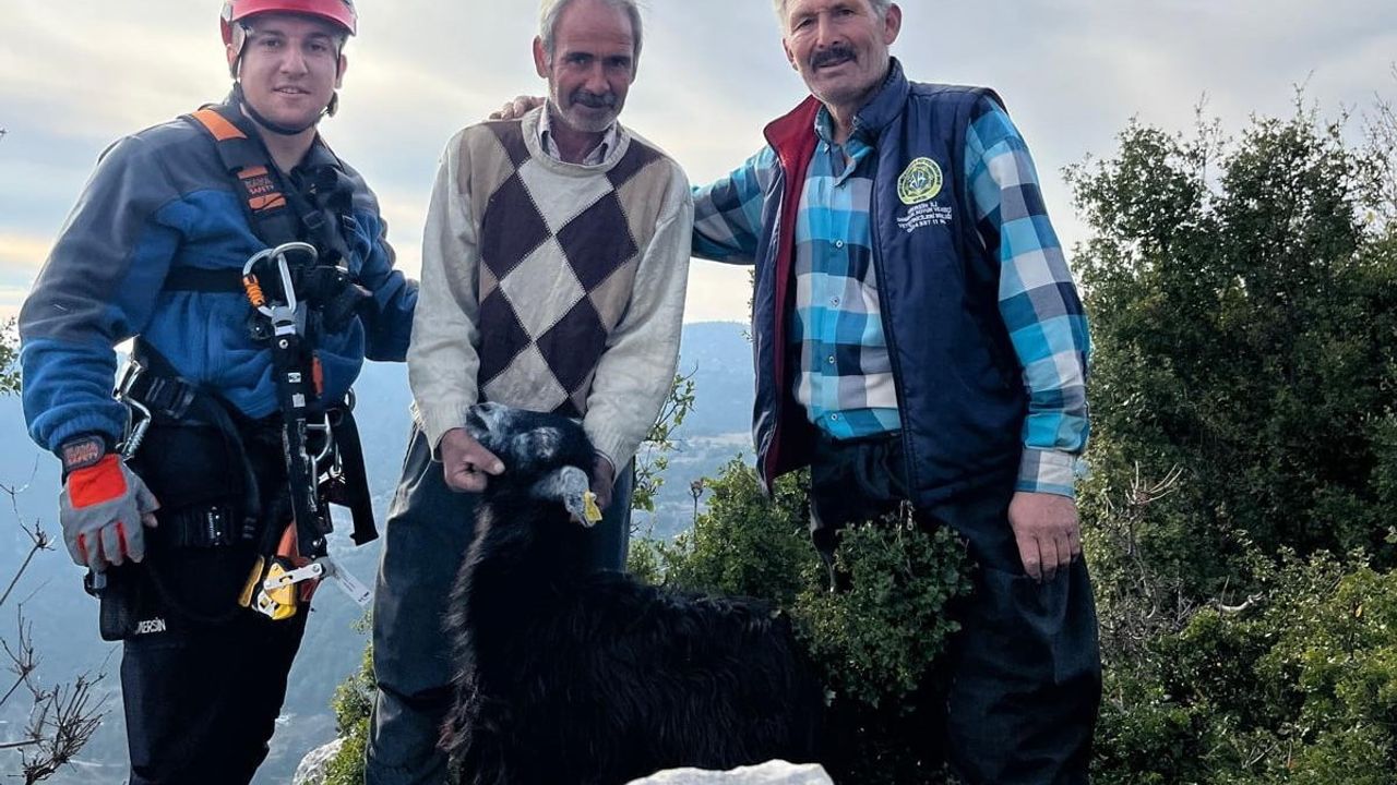 Mersin'de İtfaiye Ekipleri Kayalıklarda Mahsur Kalan İki Keçiyi Kurtardı