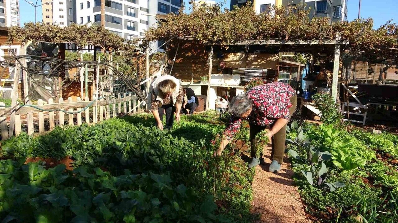 Mersin'de Kronik Hastalar Hobi Bahçesinin Yıkımına Karşı