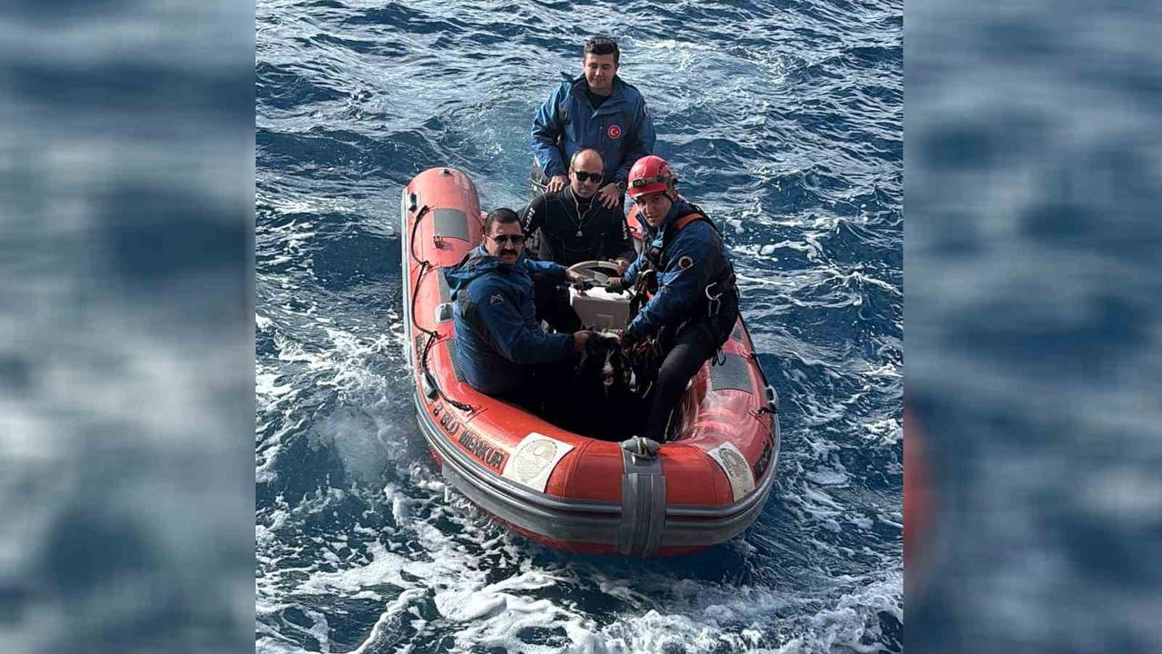 Mersin'de Sarp Kayalıklarda Mahsur Kalan Keçi Kurtarıldı