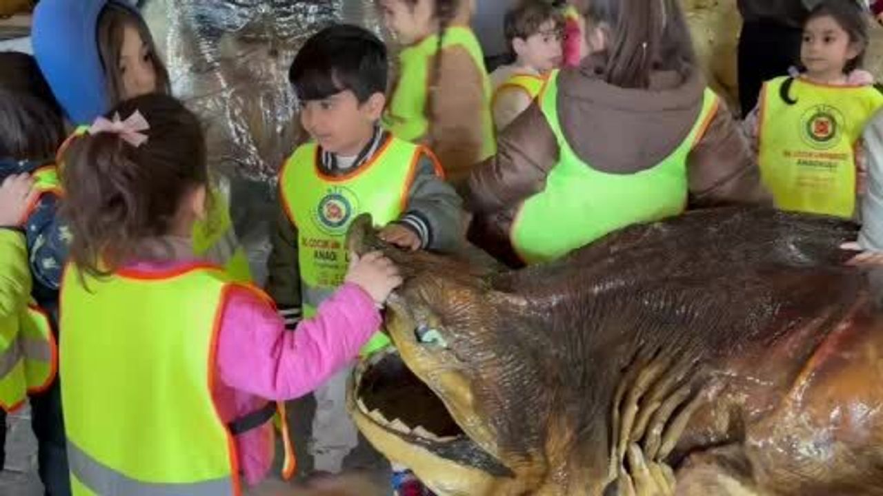 Minikler Türkiye Deniz Canlıları Müzesi'nde Mumya Balıkları İnceledi