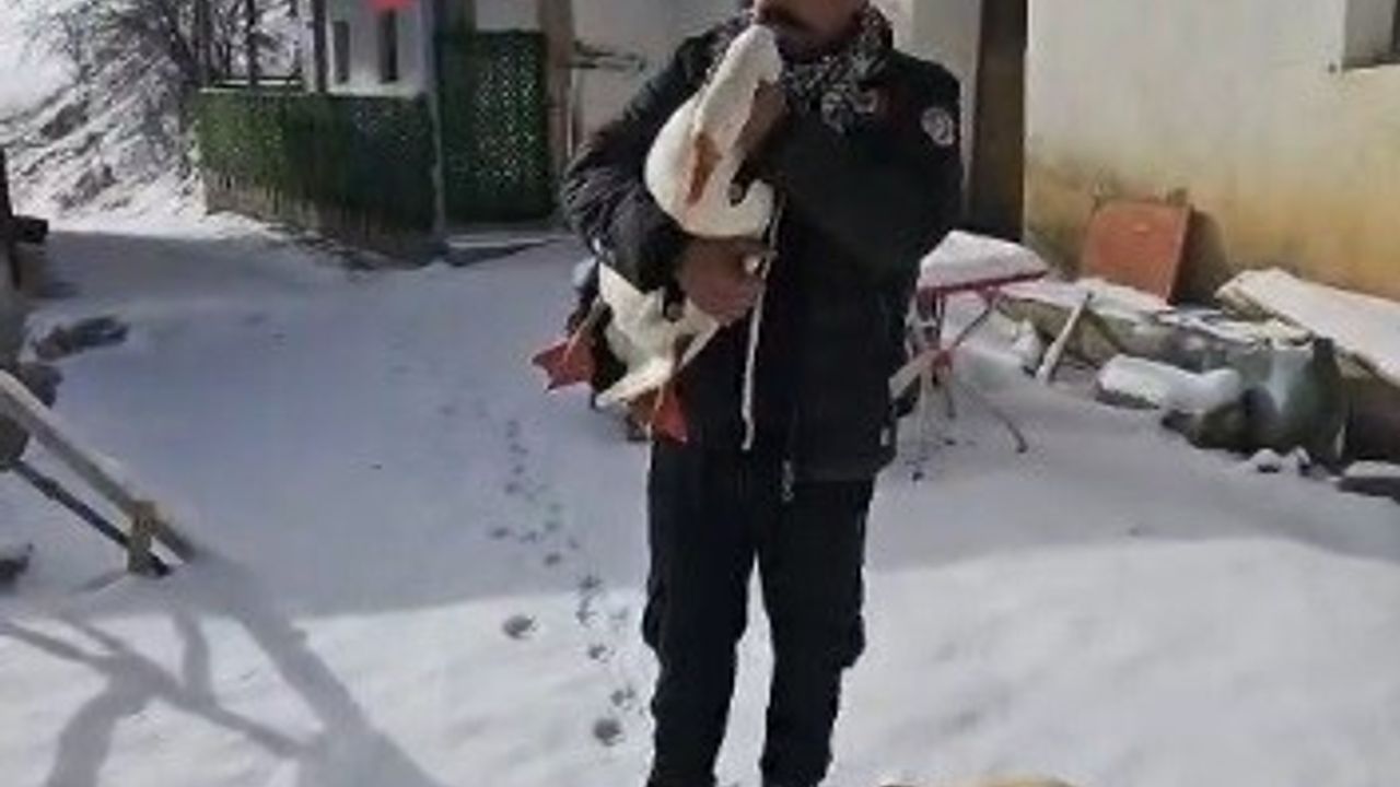 Misafirler İçin Kazdan Helallik İsteyen Çiftçi