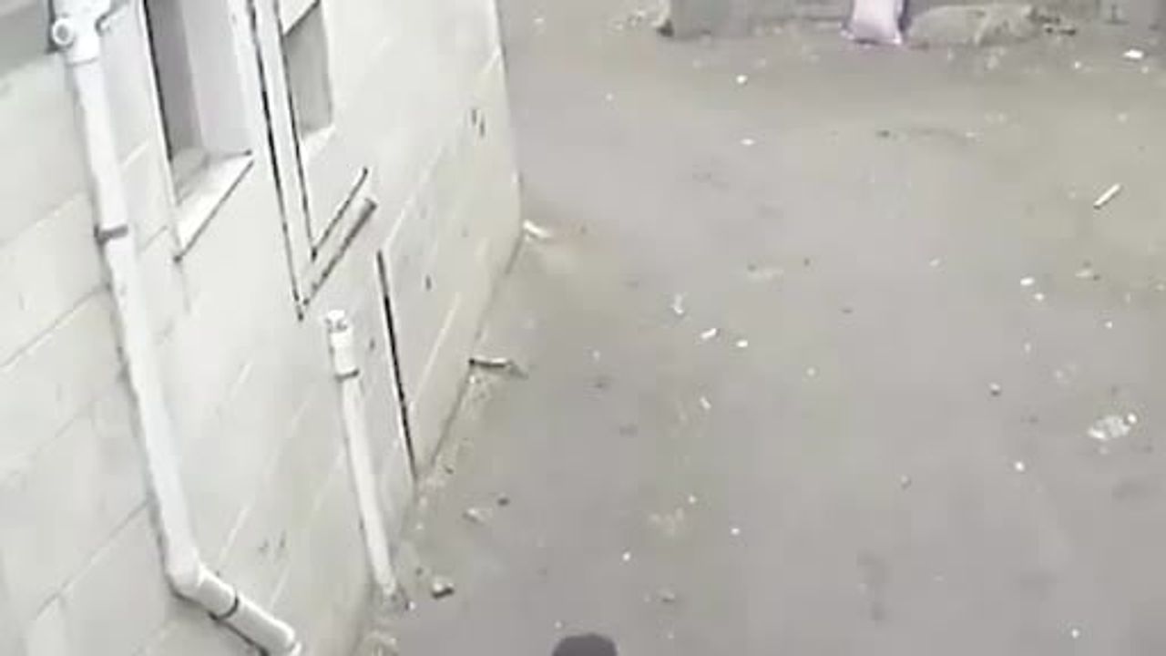 Mısır'da Cesur Çocuk Kuzenini Kaçırmaya Çalışan Babaya Direndi