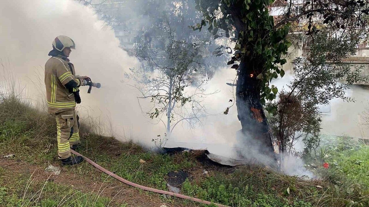 Mudanya'da Çamlık Alanında Yangın Kontrol Altına Alındı