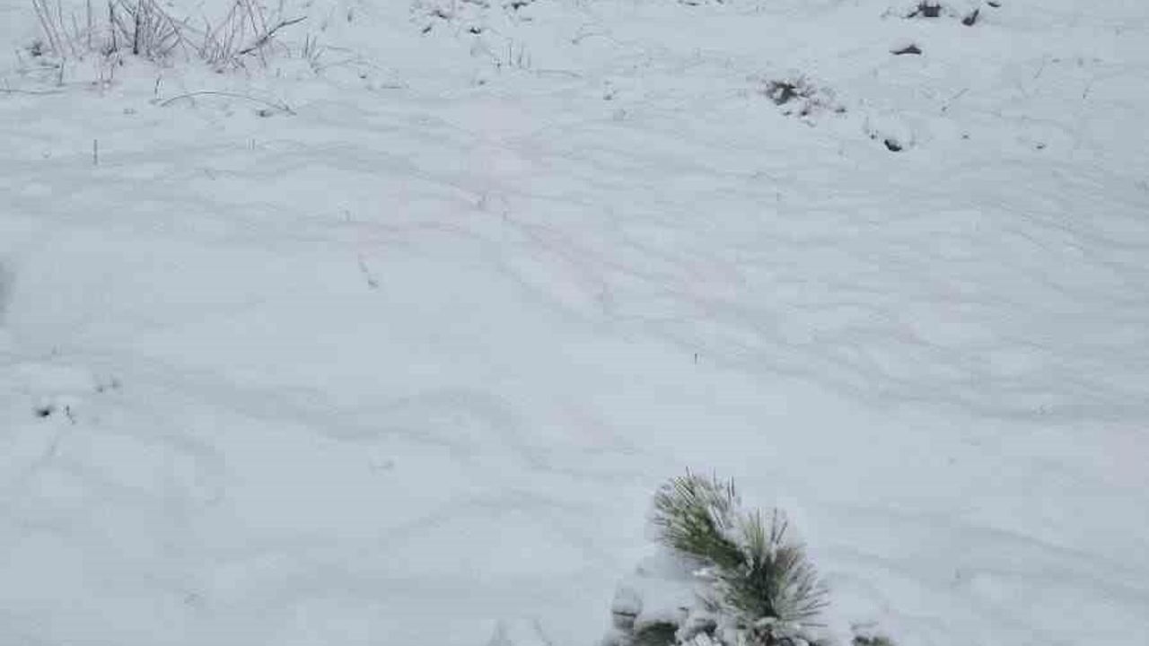 Muğla'da Kışın Habercisi İlk Kar Yağışı