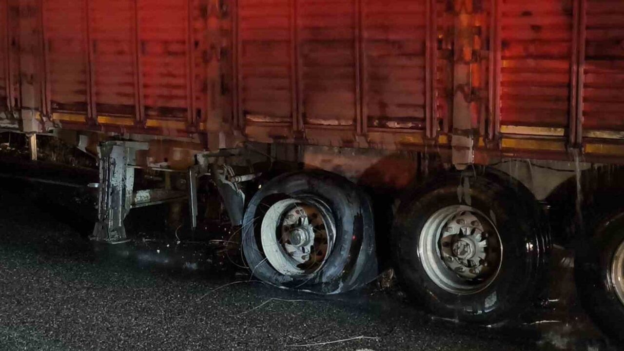 Muğla'da Tomruk Yüklü TIR'da Yangın Kontrol Altına Alındı