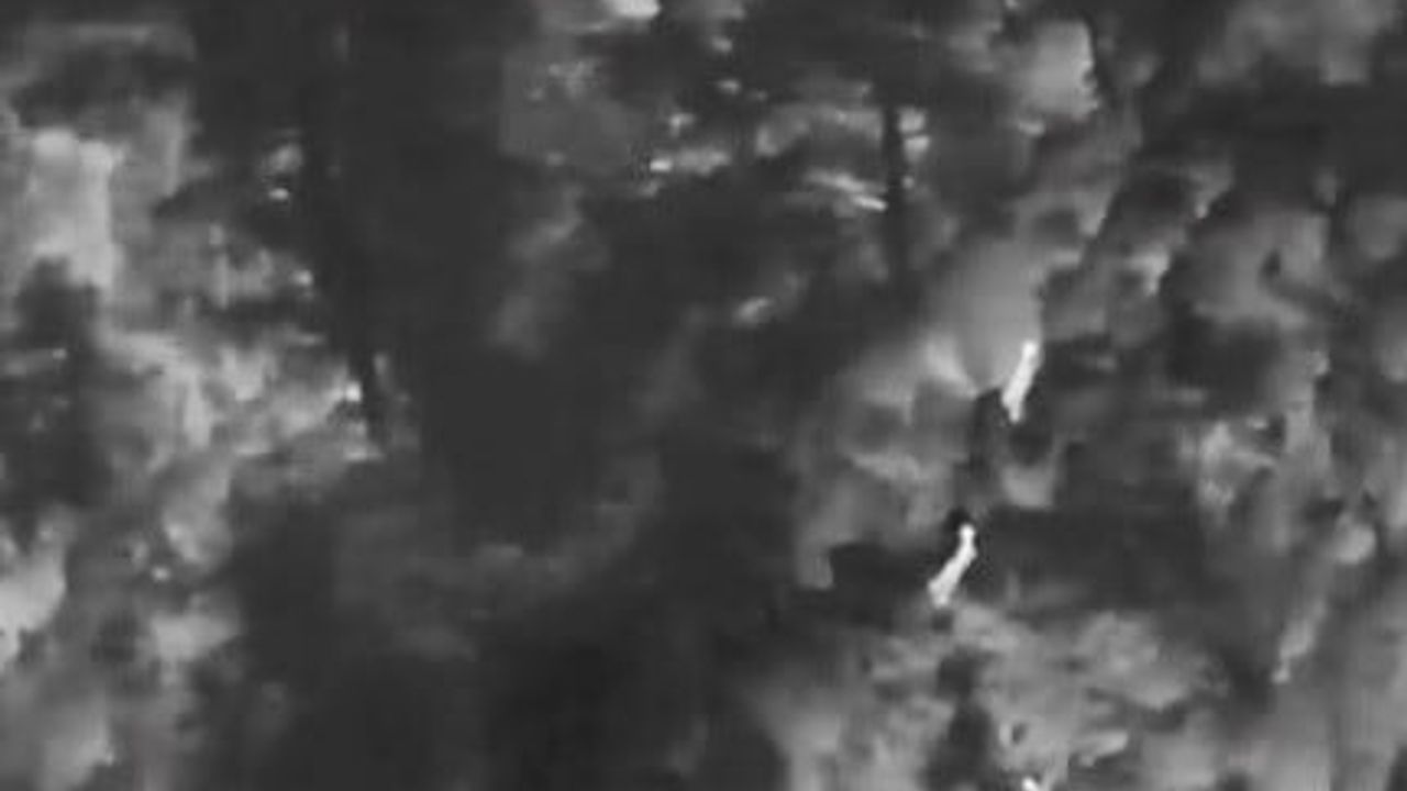 Muğla’da Yaban Hayatı Koruma Operasyonu