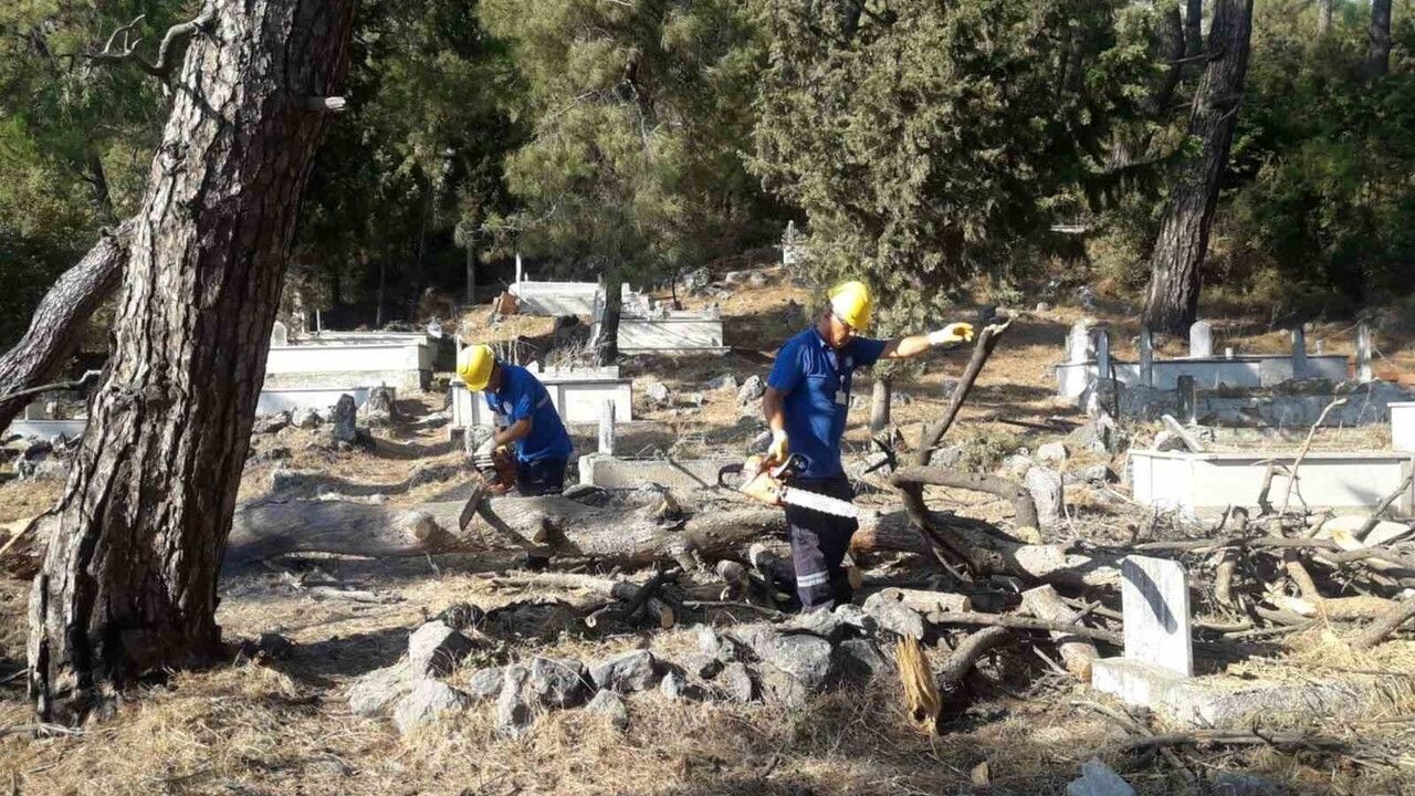 Muğla'dan İhtiyaç Sahiplerine Yakacak Yardımı