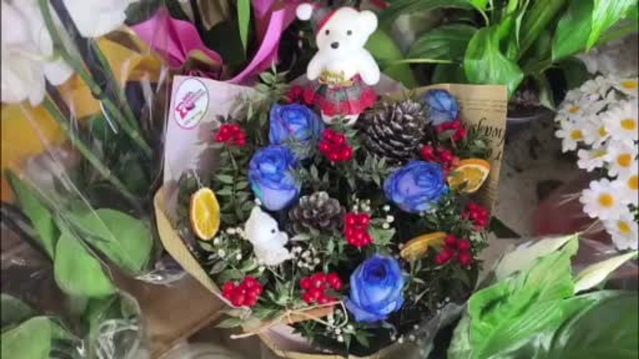 Muğla Sokaklarını Renklendiren Kokina Çiçeği