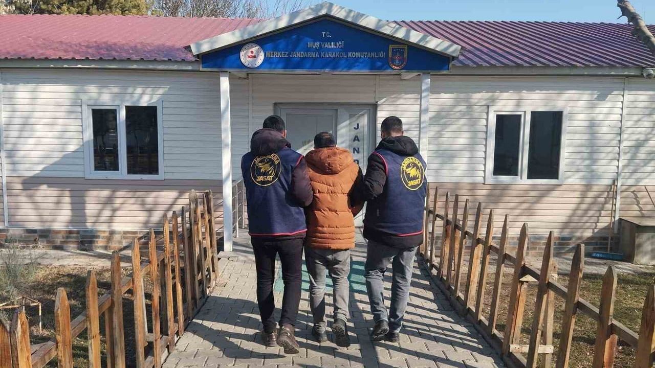 Muş'ta Hırsızlık Suçundan Aranan Şahıs Yakalandı